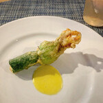 Audace - 
