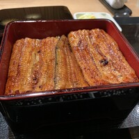 うなぎ 目白ぞろ芽 - 