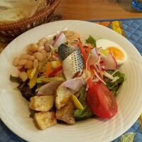 ラ･スコリエーラ - ボリュームたっぷりサラダはお代わり可(！)