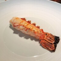 蒼 - さかな人 長谷川さんより長井の赤座海老