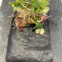 クイントカント - 