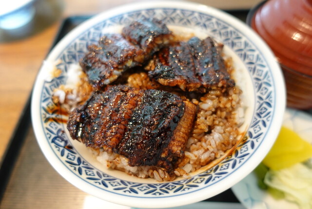 Aoi Hayakawa Shiten photo 3