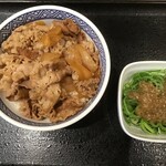 Yoshinoya - 牛丼387円＆青ねぎ塩118円(2021.5.18)