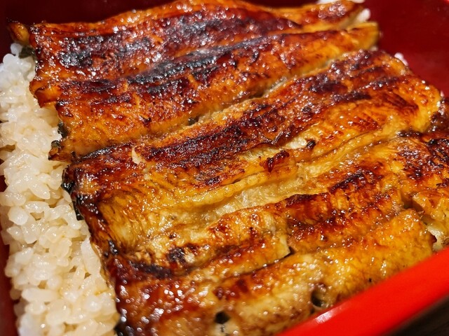 新宿 うなぎ菊川 西武新宿 うなぎ ネット予約可 食べログ 新宿 うなぎ菊川 西武新宿 うなぎ ネット予約可 食べログ