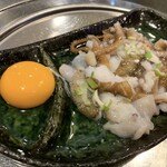 ウレヤ - 生イイダコ