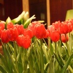 シャングリ・ラ ホテル 東京 - 