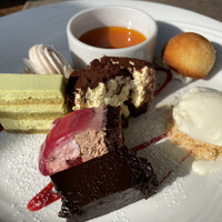 スミレオオサカ -  スミレオオサカ -