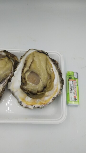 石井丸 海鹿島 魚介料理 海鮮料理 食べログ 石井丸 海鹿島 魚介料理 海鮮料理 食べログ