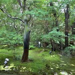 自家焙煎珈琲 森の響 - 