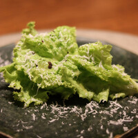 草片 - 