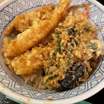 Tempura Temmatsu - 