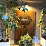 Pipal - 