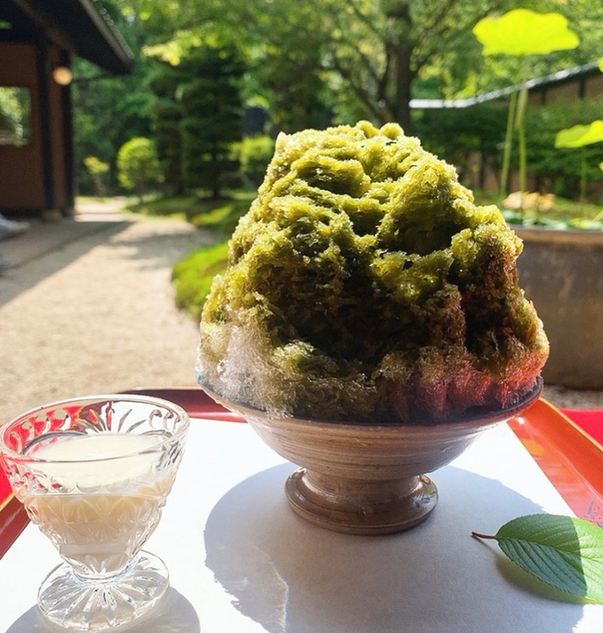はおと 多治見 日本茶専門店 食べログ はおと 多治見 日本茶専門店 食べログ