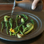 坐忘林 - 山菜のおひたし