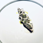 レスピラシオン - 本日の魚料理　鰆（20日熟生）蓮とキャビア