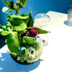 レスピラシオン - ９種のハーブティー