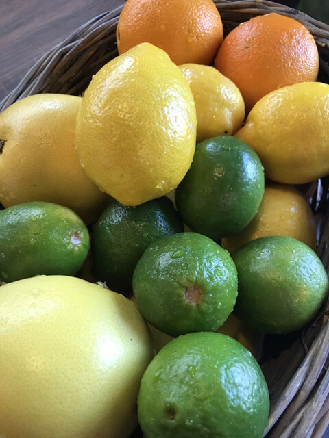 Butterfly Effect photo 2