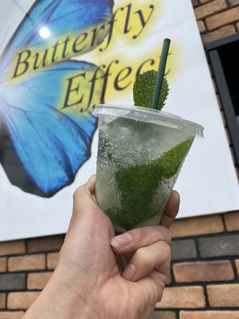 Butterfly Effect photo 4