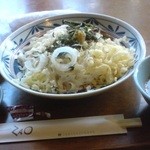 レストラン 蔵王 - 冷やしたぬきうどん（\525）