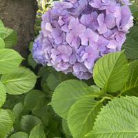 ユニオン スクエア トウキョウ - 