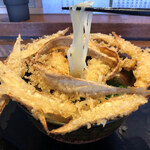 大地のうどん - 