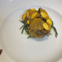 クイントカント - 