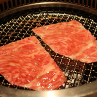 日本焼肉 はせ川 銀座店 - 