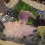 旬味酒好 かん - 八角と鱸の刺身