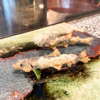 天ぷら うらかみ - 