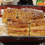 Unagi No Takumi Fujiya - 