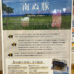 とんかつ 栄ちゃん - 