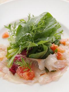 Moderato - 料理5