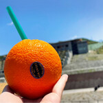 Orange Paradise - 