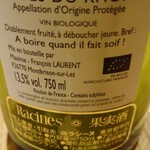 おしゃべりきのこ - 