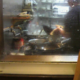 中国料理 宏苑_2