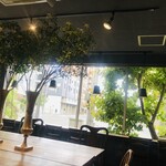 佐藤珈琲 - 佐藤珈琲さん　店内から