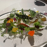 レフェルヴェソンス - 