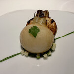 レフェルヴェソンス - 