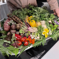 レフェルヴェソンス - 