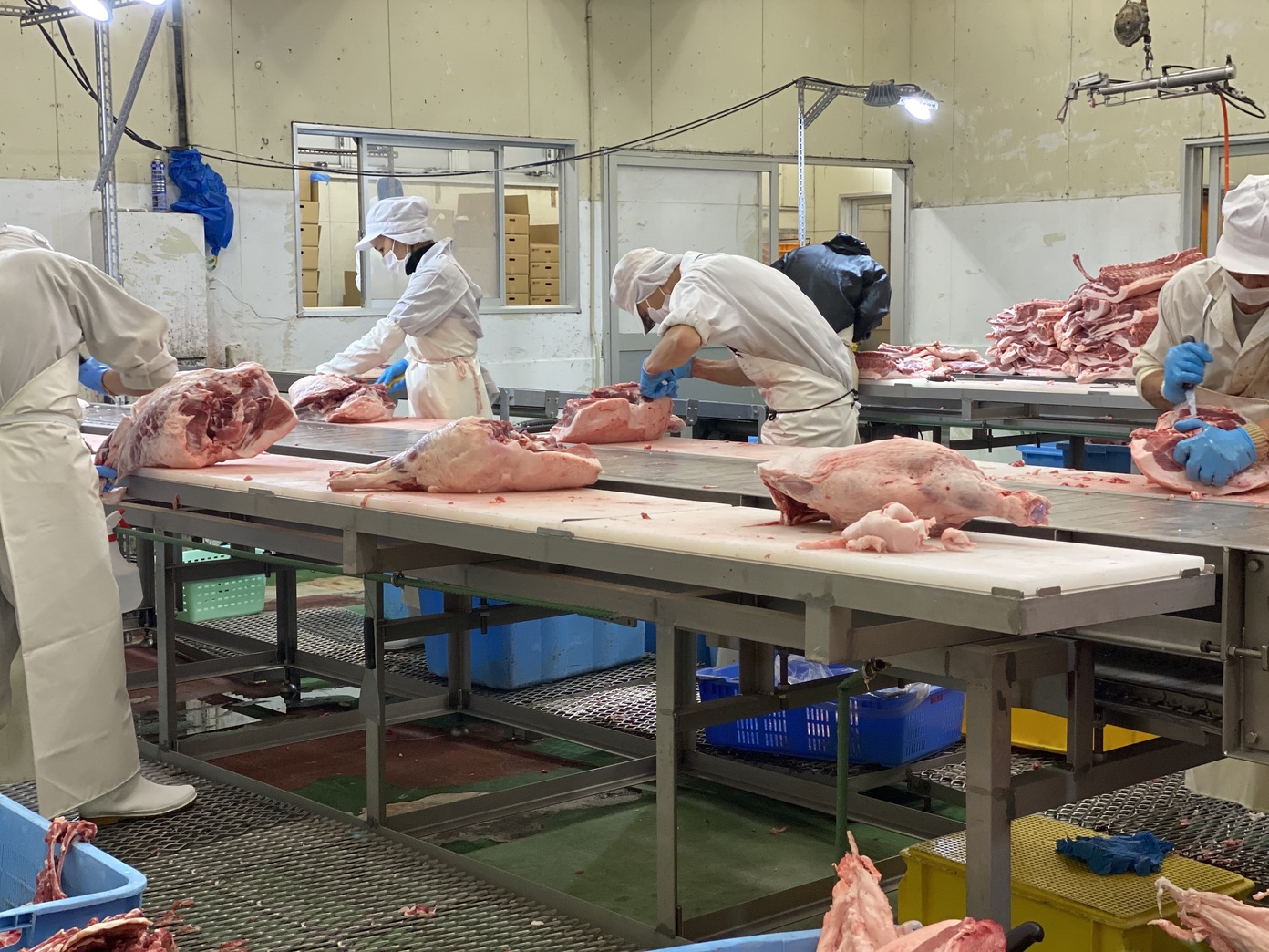 かごしま焼肉ホルモン すだく 霧島国分本店のご予約 - 国分/焼肉 | 食べログ かごしま焼肉ホルモン すだく 霧島国分本店 (国分/焼肉)