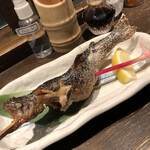 小川の魚 - 