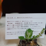 レストランRyu - 