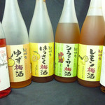 いつものところ - 「梅酒」いろいろ揃えています