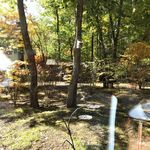 フォレスト ヴェール - 