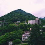 Cafe Suimei - ロープウエイ麓駅からの眺め　正面が翠明館