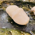 にぎり鮨 一五〇 - ほたて