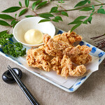 Fried Kagoshima chicken