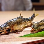 富小路 やま岸 - 