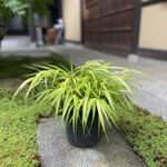 そば蔵 谷川 - 植木