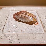 島津 - どんちっち